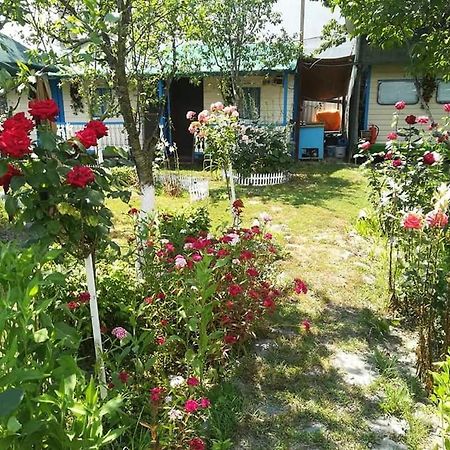 Camping Casuta Mihaela Кришан Екстериор снимка