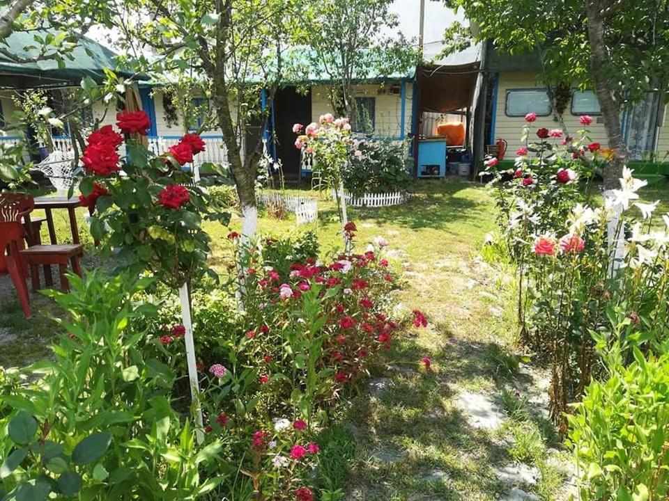 Camping Casuta Mihaela Кришан Екстериор снимка