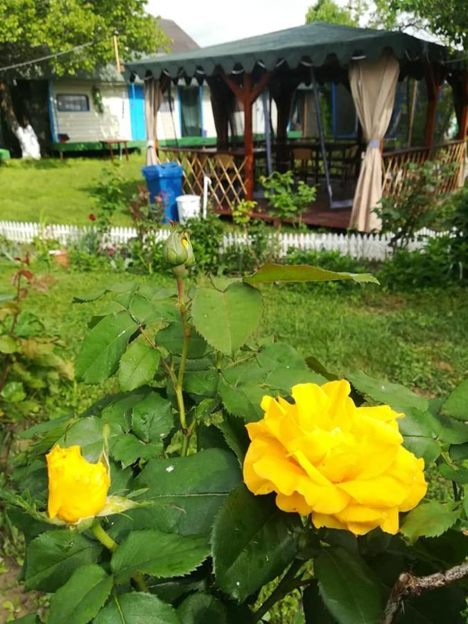 Camping Casuta Mihaela Кришан Екстериор снимка