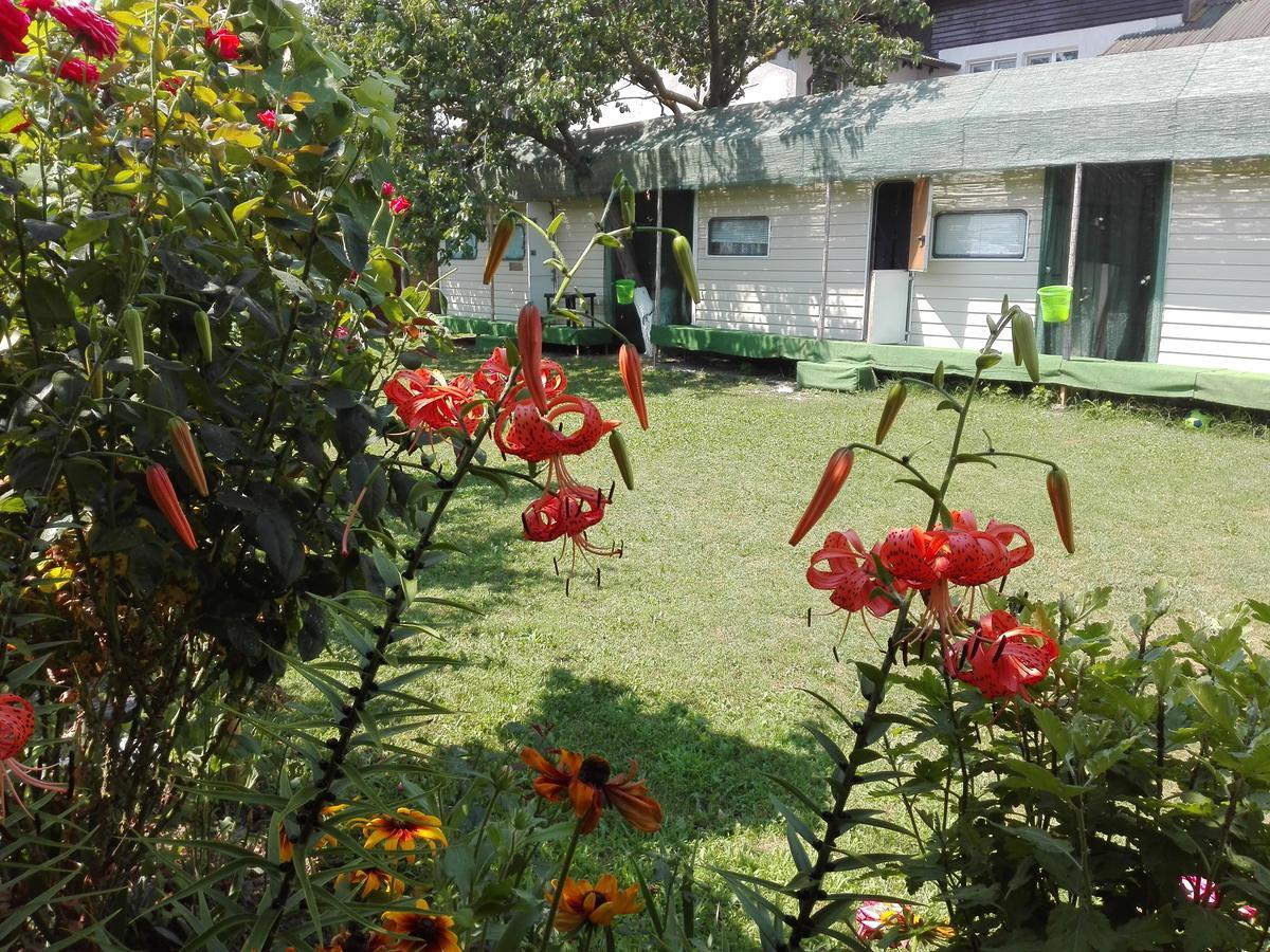 Camping Casuta Mihaela Кришан Екстериор снимка
