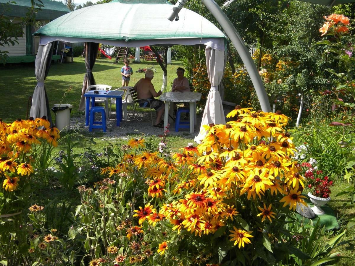 Camping Casuta Mihaela Кришан Екстериор снимка
